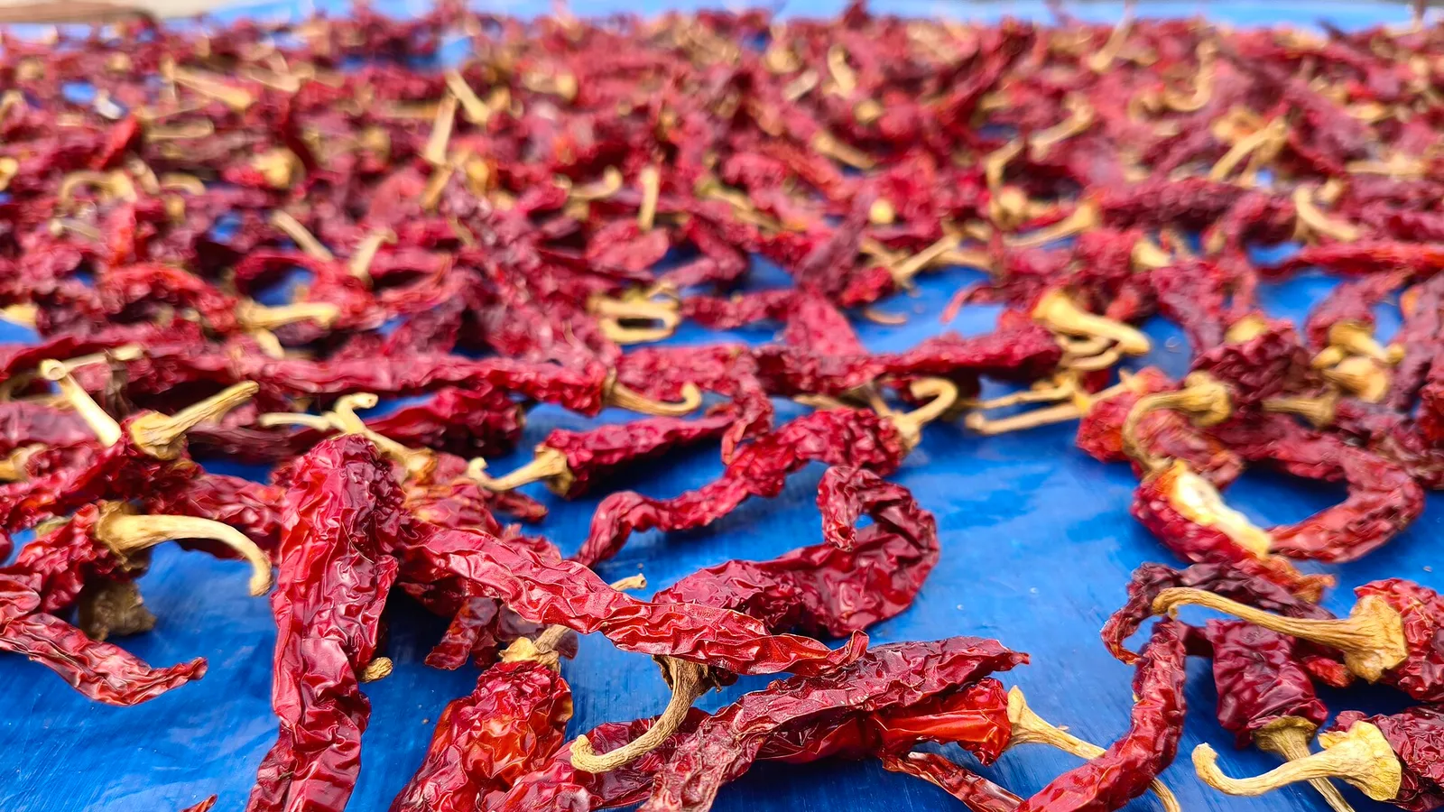 عکس مرتبط با درمان خانگی سردرد — درمان خانگی سردرد از نگاه حکما | طب سنتی
