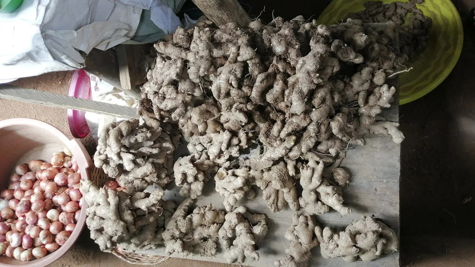 عکس مرتبط با خشکی چشم — خشکی چشم در طب سنتی؛ گیاه عطار و سخن حکما