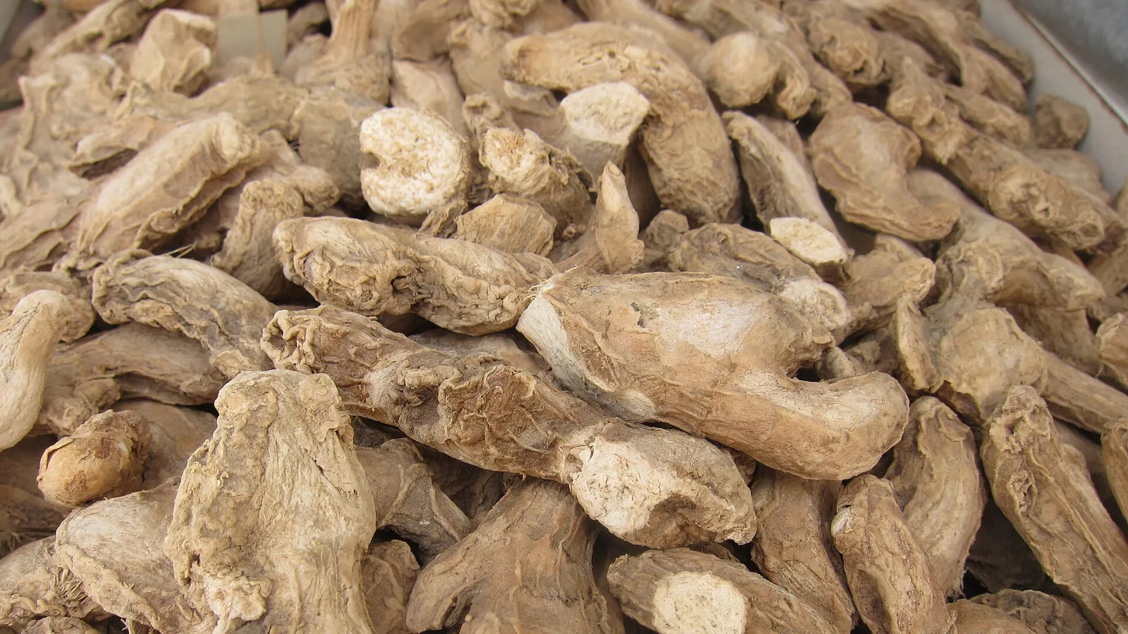 عکس مرتبط با نقرس — نقرس در طب سنتی؛ گیاه عطار و سخن حکما